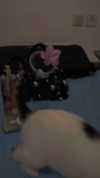 libbyberkovich Altpins Profile Picture