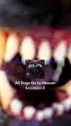 avitallllllll Altpins Profile Picture