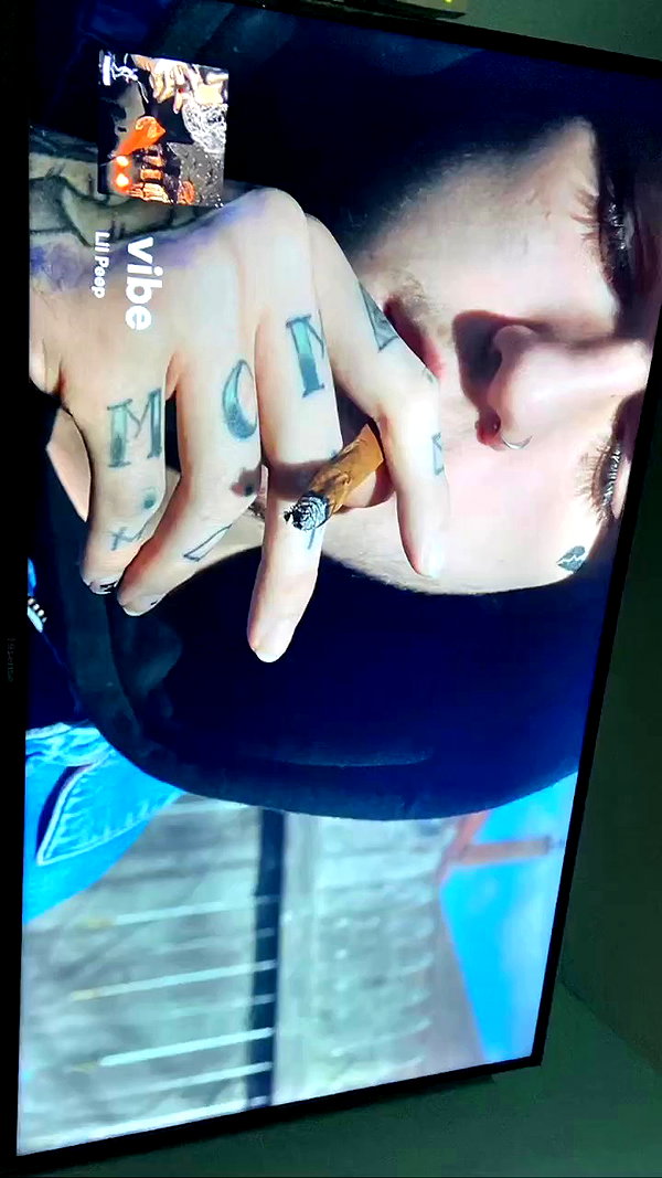 avitallllllll archive video preview