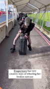 zaperwave Altpins Profile Picture