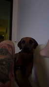 edin.karyn Altpins Profile Picture
