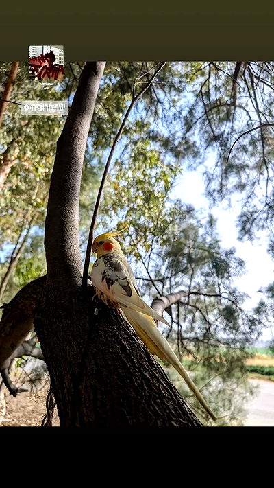 tinapavlov.sky tinapavlov.sky archive video