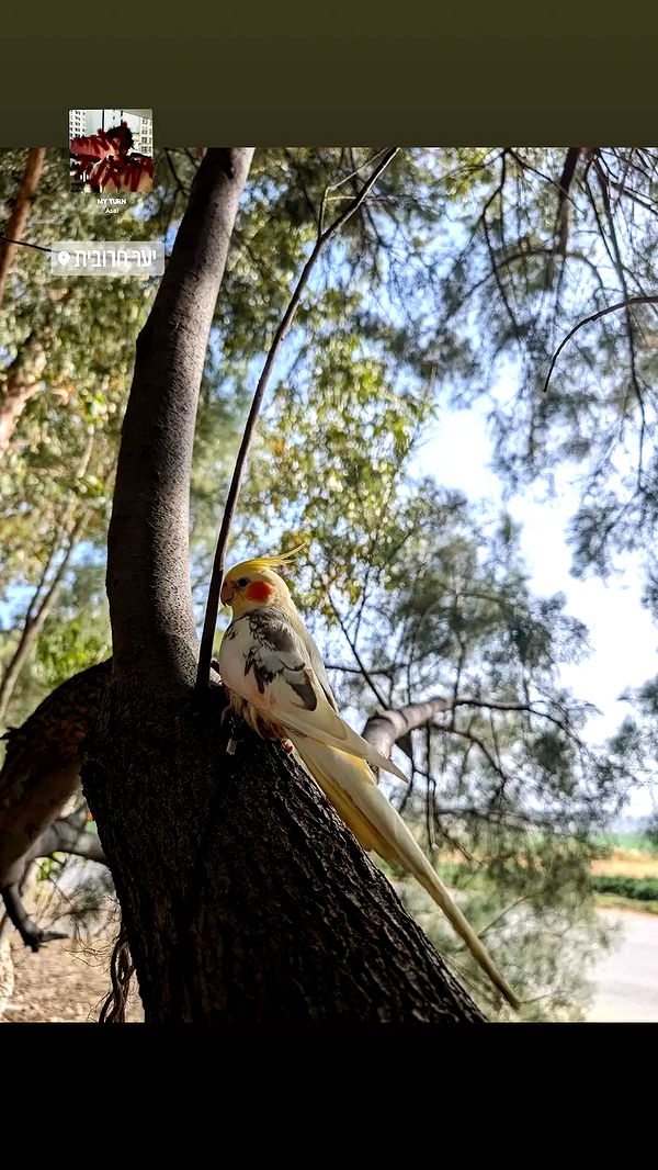 tinapavlov.sky archive video preview