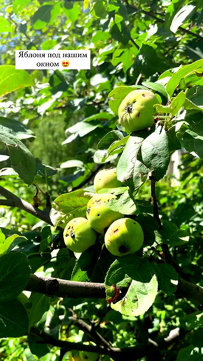 nyityam nyityam archive video