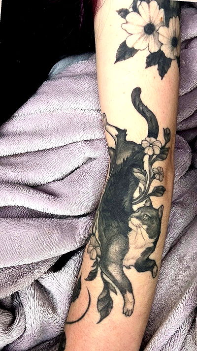 hey.its.yammy hey.its.yammy archive video