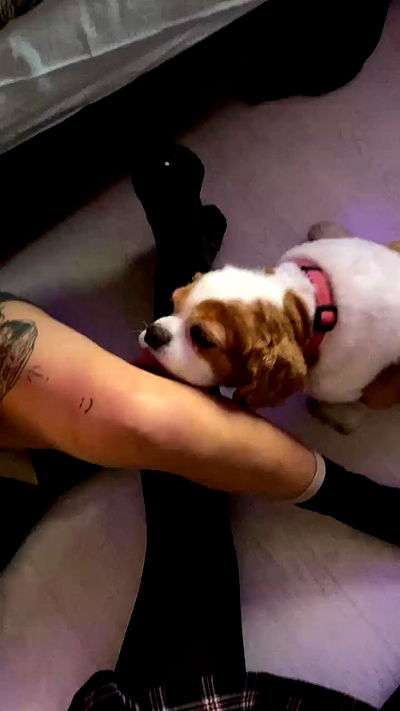 hanabellask8 hanabellask8 archive video