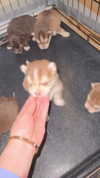 jailyneojeda Altpins Profile Picture