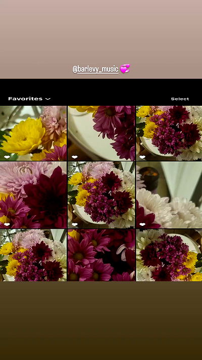 shayli_or shayli_or archive video