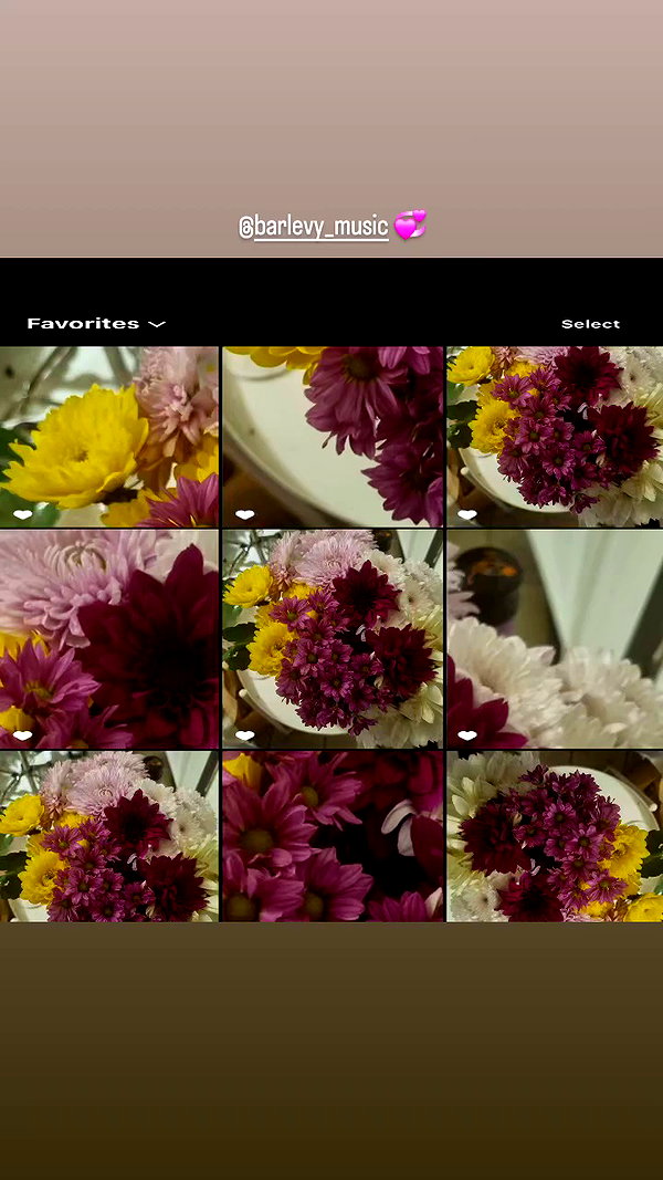 shayli_or archive video preview