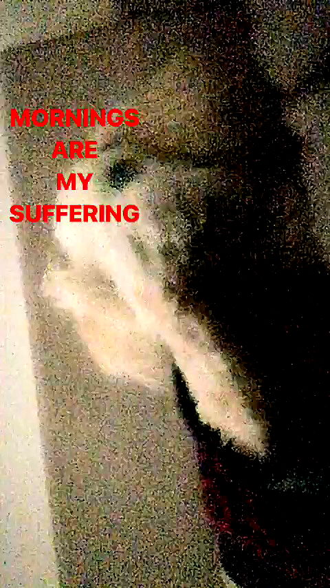 feelbetterinmysweater archive video preview