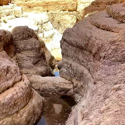 liad.arazi liad.arazi archive video