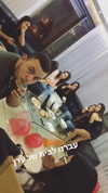 bar_kavod Altpins Profile Picture