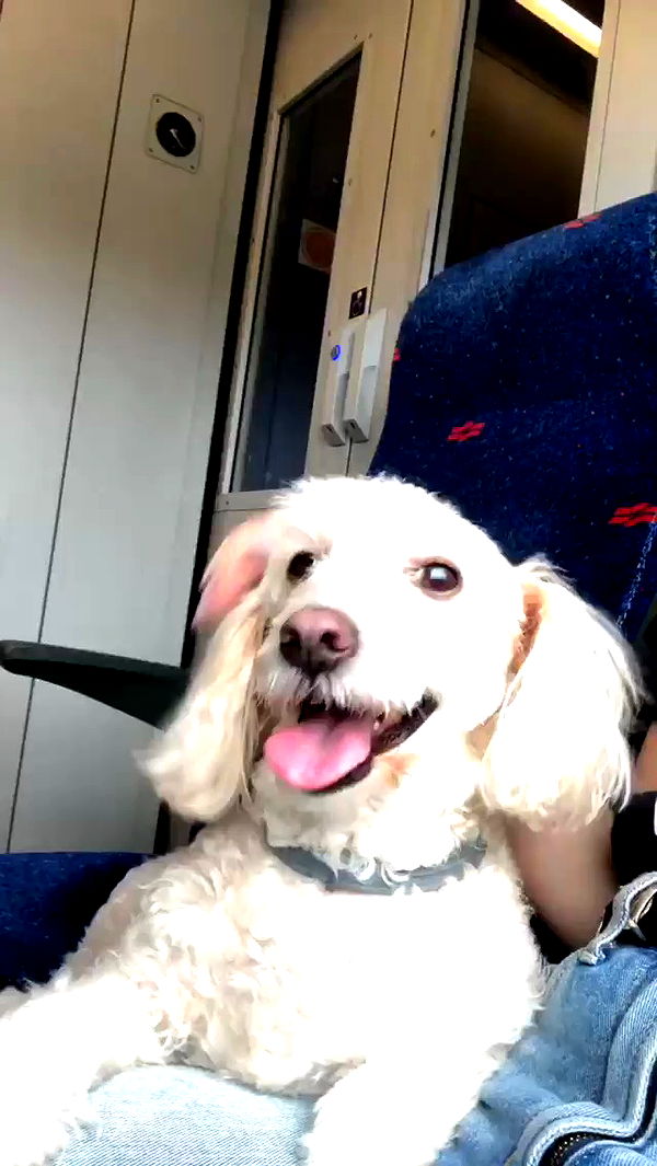 feelbetterinmysweater archive video preview