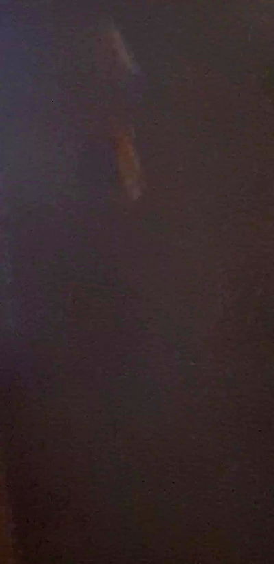 laluzone laluzone archive video