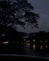 dianavgalvis Altpins Profile Picture