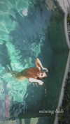 indienna_ Altpins Profile Picture