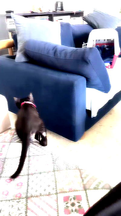 feelbetterinmysweater feelbetterinmysweater archive video