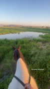 shvuty__ Altpins Profile Picture