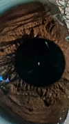klarissasalazar Altpins Profile Picture