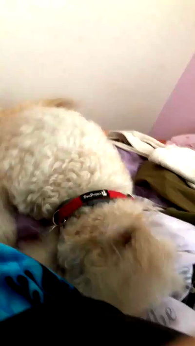 feelbetterinmysweater feelbetterinmysweater archive video