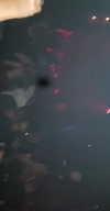 chen940 Altpins Profile Picture