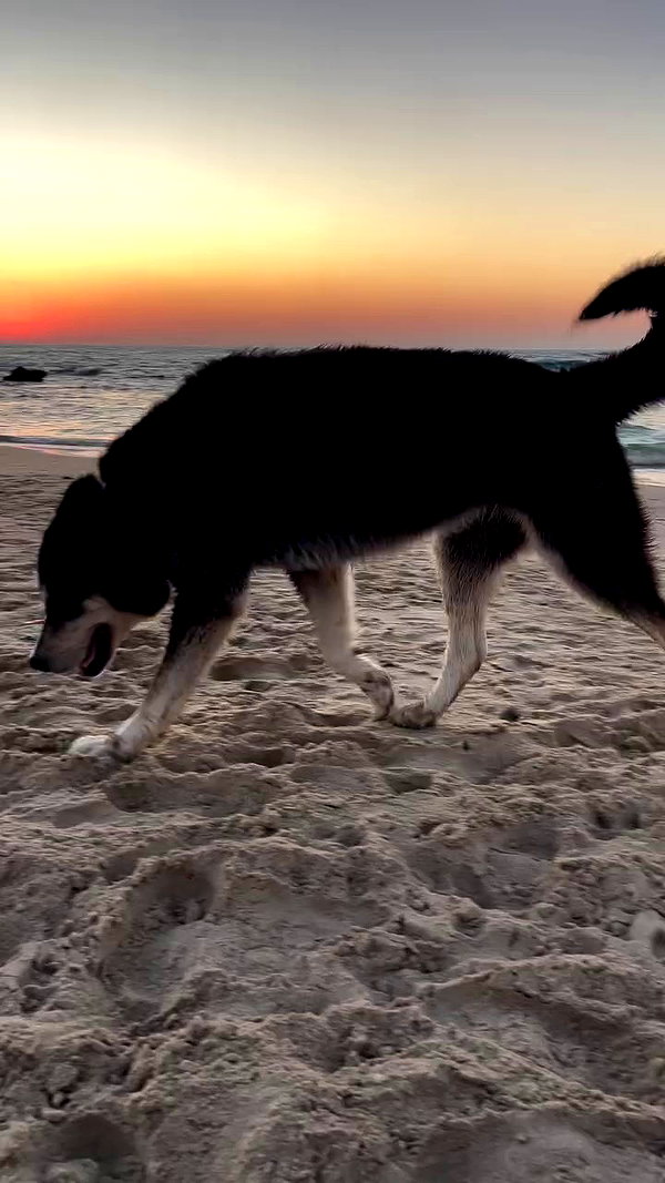 v.e.r.o._.n.i.c.a archive video preview