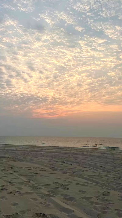 payton.r payton.r archive video