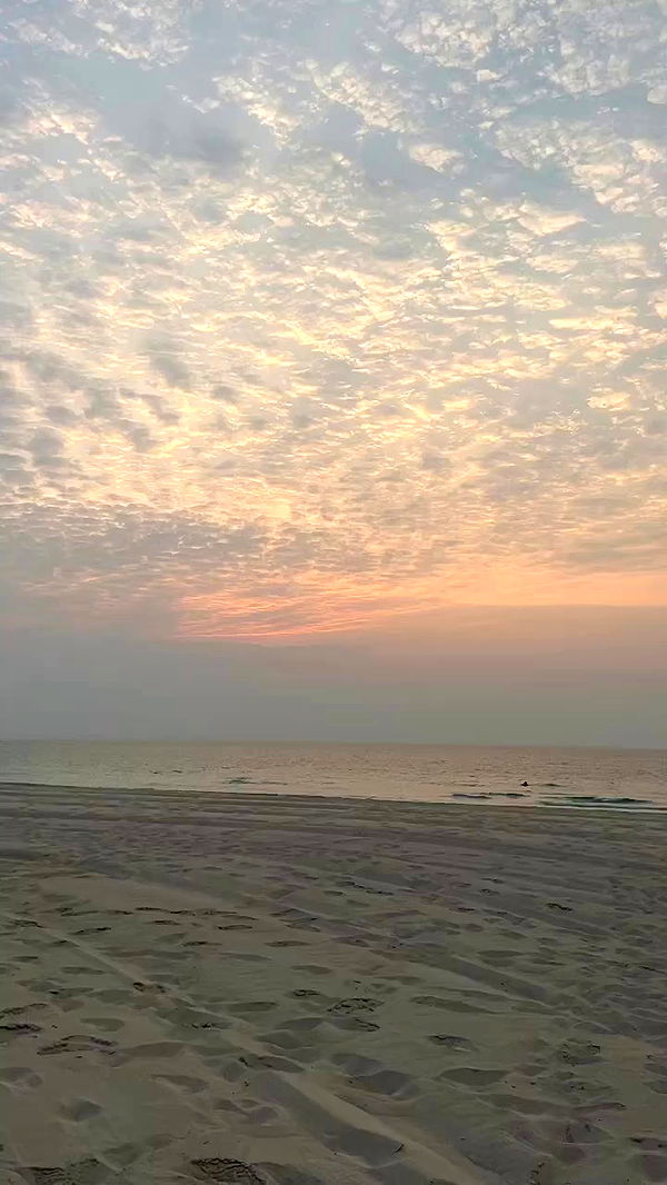 payton.r archive video preview