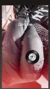 bitch_tattooist_17 Altpins Profile Picture