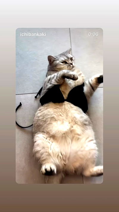 elianachetrit elianachetrit archive video