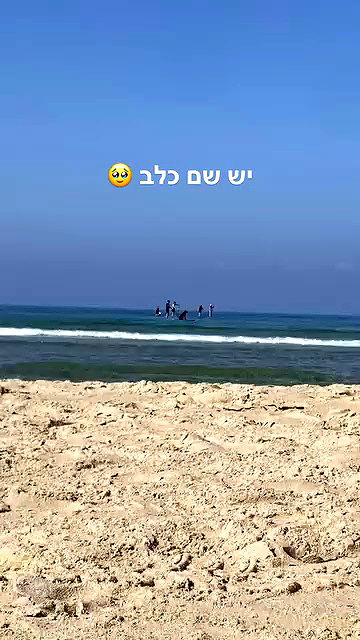 yam_adler archive video preview