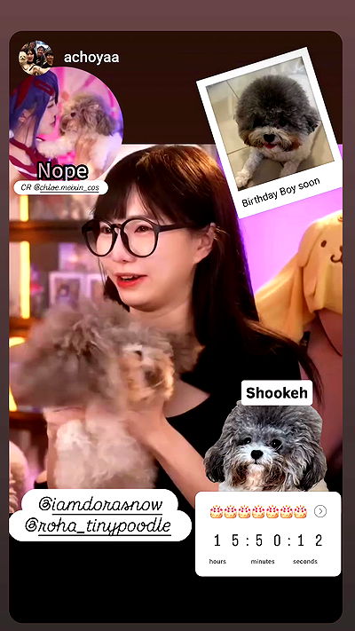 iamdorasnow iamdorasnow archive video