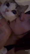 pauuuferreira_ Altpins Profile Picture