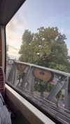 rommy_banouz Altpins Profile Picture