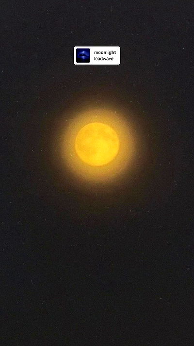 ninja.vi ninja.vi archive video