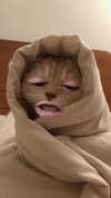 goddessoffxck2 Altpins Profile Picture