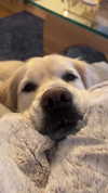 emmmarshalll Altpins Profile Picture