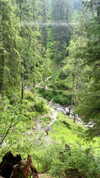 noa_mendel_ Altpins Profile Picture