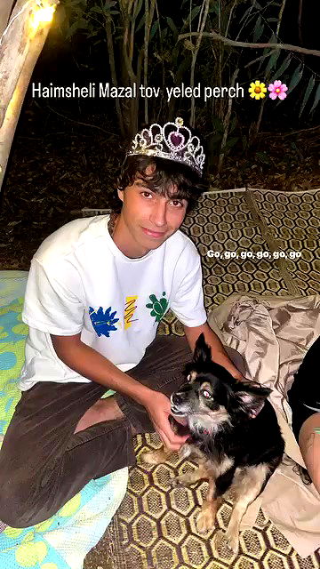 feelbetterinmysweater archive video preview