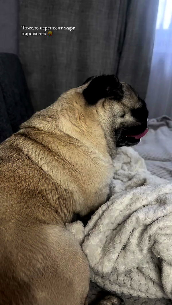 nyityam archive video preview