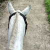 alicia.c555 Altpins Profile Picture