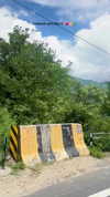 noa_mendel_ Altpins Profile Picture