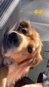 kimmm.c4 Altpins Profile Picture