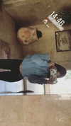 daniella_zeldis Altpins Profile Picture