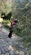 railey.tv Altpins Profile Picture