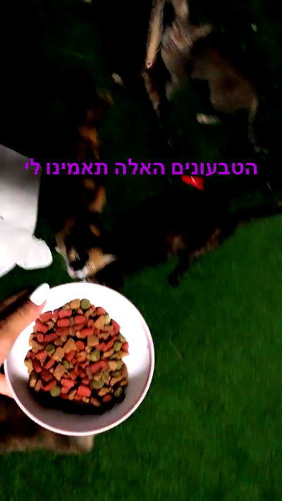 kesemgreenyer kesemgreenyer archive video