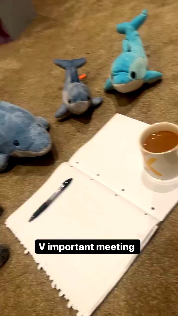 zaperwave archive video preview