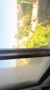 hagarschubert Altpins Profile Picture