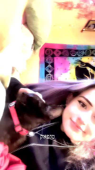 feelbetterinmysweater feelbetterinmysweater archive video