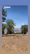 hagarschubert Altpins Profile Picture